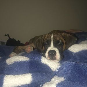 Meet your Posher, Jenny